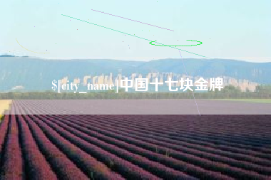 凉山中国十七块金牌