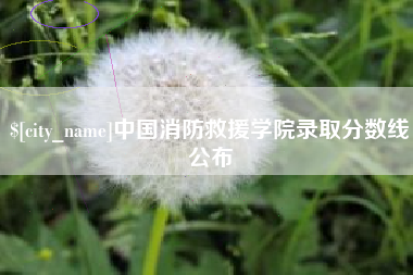 凉山中国消防救援学院录取分数线公布