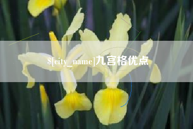 凉山九宫格优点