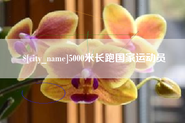 凉山5000米长跑国家运动员