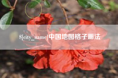 凉山中国地图格子画法
