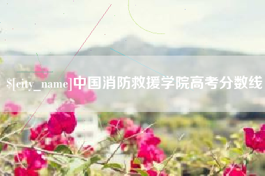 凉山中国消防救援学院高考分数线