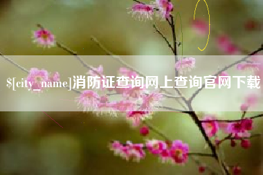 凉山消防证查询网上查询官网下载