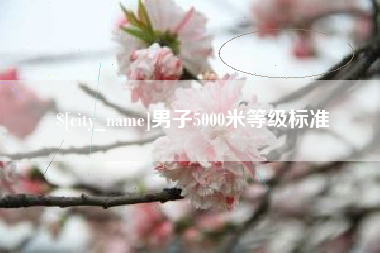 凉山男子5000米等级标准