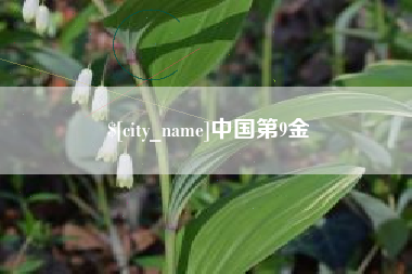 凉山中国第9金