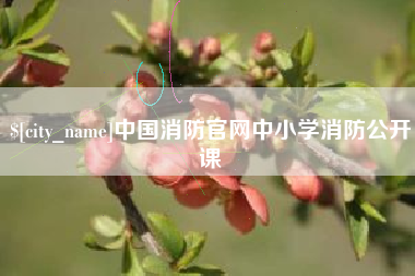 凉山中国消防官网中小学消防公开课