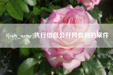 凉山执行信息公开网查到的案件