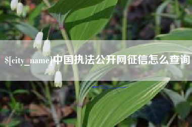 凉山中国执法公开网征信怎么查询