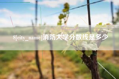 凉山消防大学分数线是多少