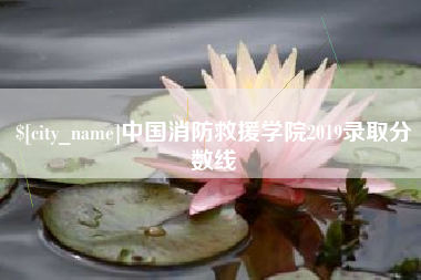 凉山中国消防救援学院2019录取分数线