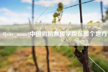 凉山中国消防救援学院在那个地方