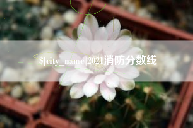 凉山2021消防分数线