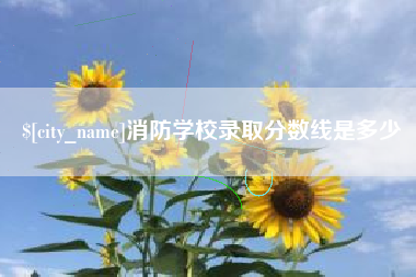 凉山消防学校录取分数线是多少