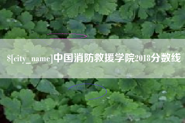 凉山中国消防救援学院2018分数线