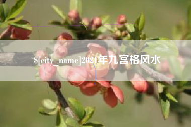 凉山2021年九宫格风水