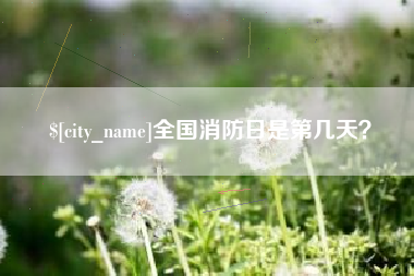 凉山全国消防日是第几天？