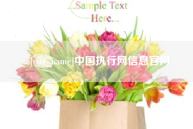 凉山中国执行网信息官网