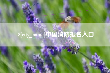 凉山中国消防报名入口