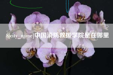 凉山中国消防救援学院是在哪里