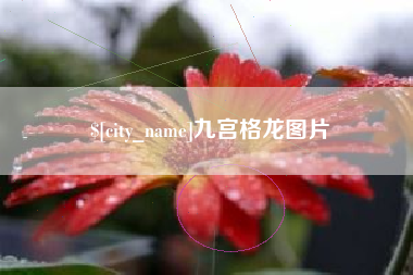 凉山九宫格龙图片