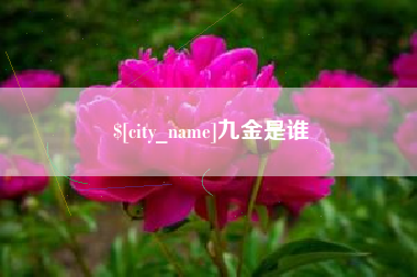 凉山九金是谁