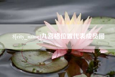 凉山九宫格位置代表成员图