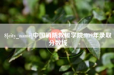 凉山中国消防救援学院2019年录取分数线