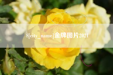 凉山金牌图片2021