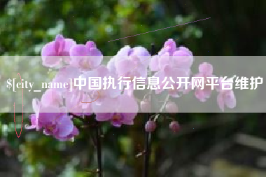 凉山中国执行信息公开网平台维护