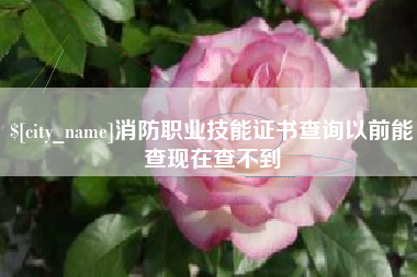 凉山消防职业技能证书查询以前能查现在查不到