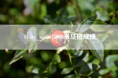 凉山5000米及格成绩
