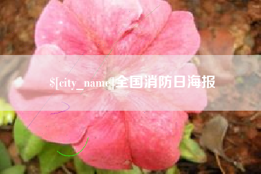 凉山全国消防日海报