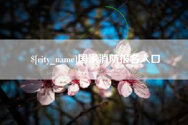 凉山国家消防报名入口