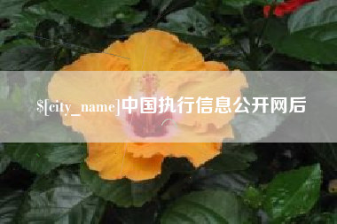 凉山中国执行信息公开网后
