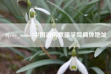 凉山中国消防救援学院具体地址