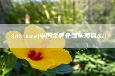 凉山中国金牌是哪些项目2021