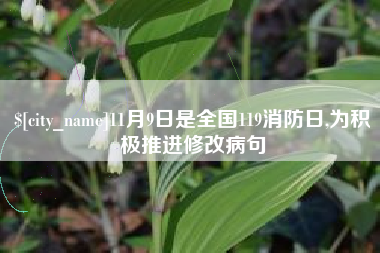 凉山11月9日是全国119消防日,为积极推进修改病句