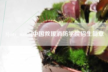 凉山中国救援消防学院招生简章