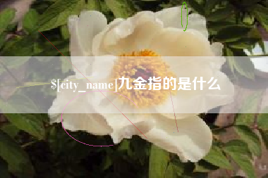 凉山九金指的是什么