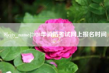 凉山2020年消防考试网上报名时间