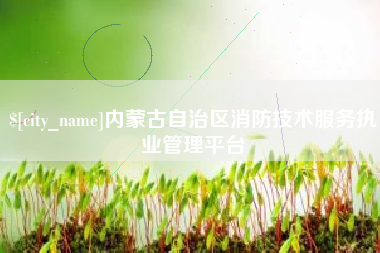 凉山内蒙古自治区消防技术服务执业管理平台