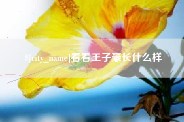 凉山看看王子豪长什么样