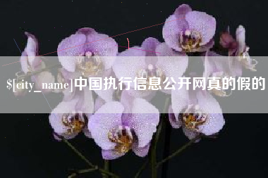 凉山中国执行信息公开网真的假的