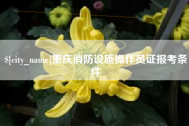 凉山重庆消防设施操作员证报考条件