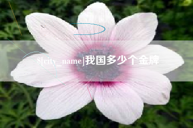 凉山我国多少个金牌