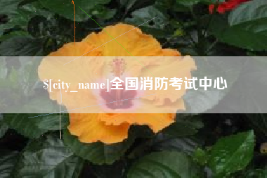 凉山全国消防考试中心