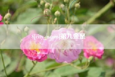 凉山第九金是