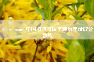 凉山中国消防救援学院历年录取分数线
