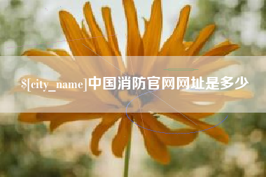 凉山中国消防官网网址是多少