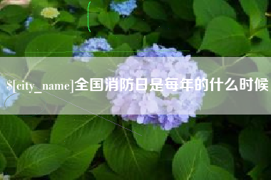 凉山全国消防日是每年的什么时候
